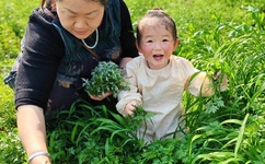 japanese30一35丰满35熟